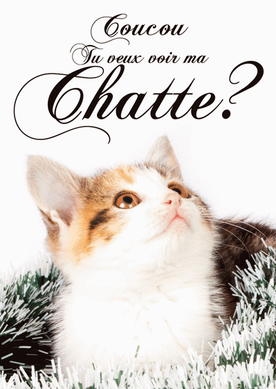 Carte Tu Veux Voir Ma Chatte? : Envoyer une Carte Saint 